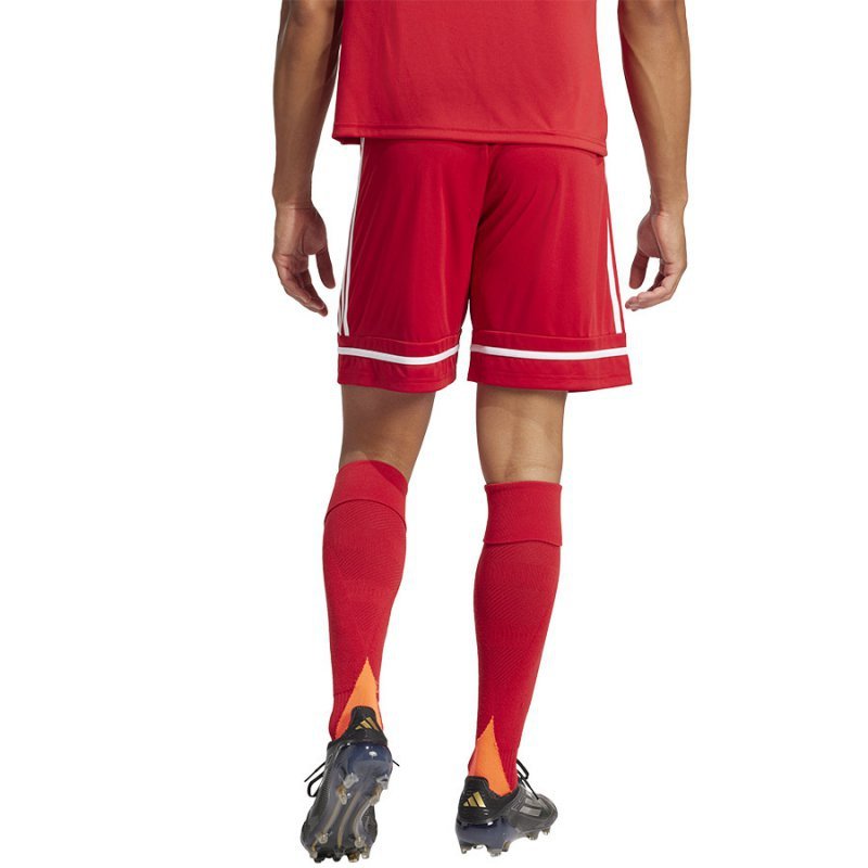 Spodenki adidas SQUADRA 25 Short JN5466 czerwony S