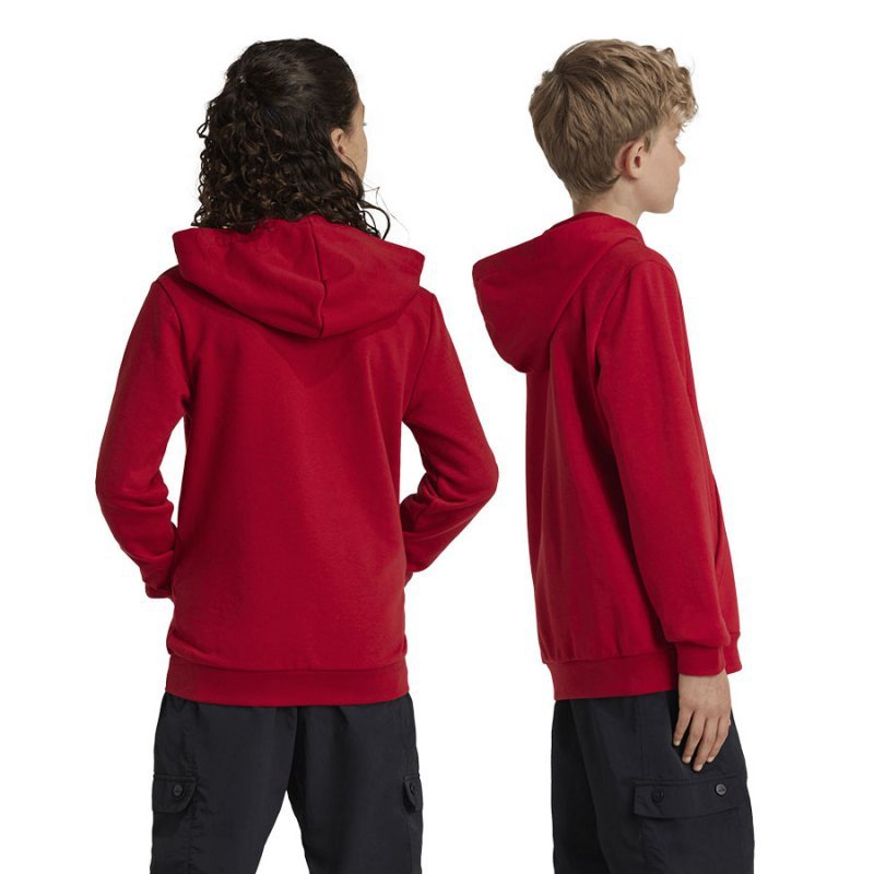 Bluza adidas FC Bayern HD Junior Jr IT4134 czerwony 176 cm