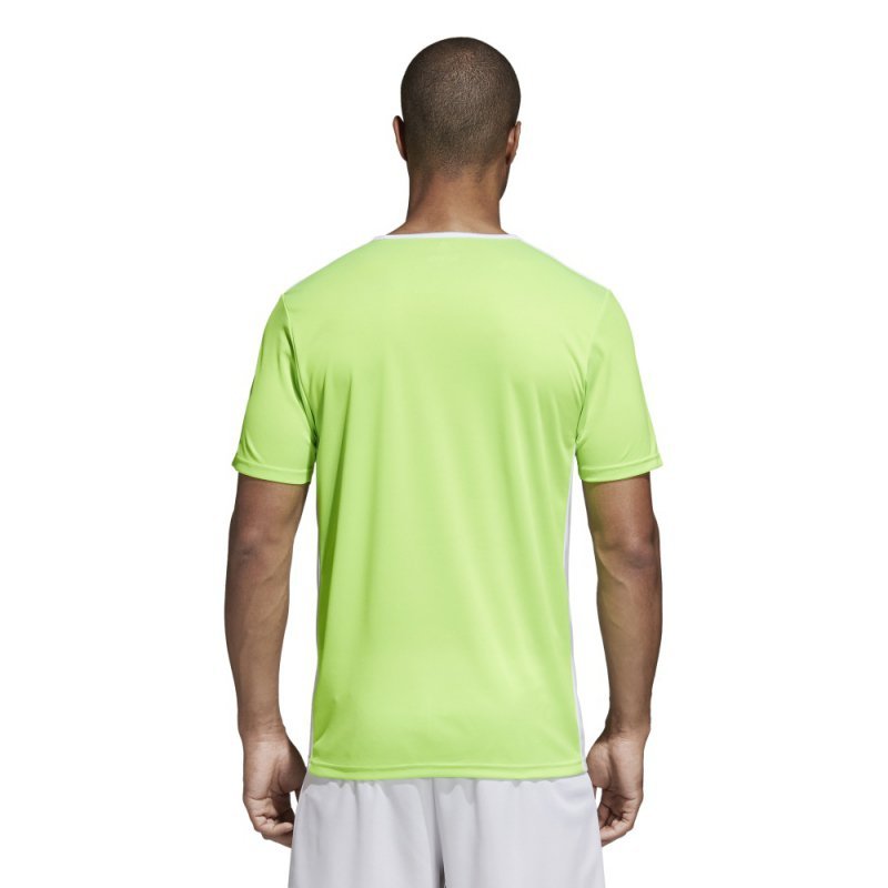 Koszulka adidas Entrada 18 JSY CE9758 zielony M