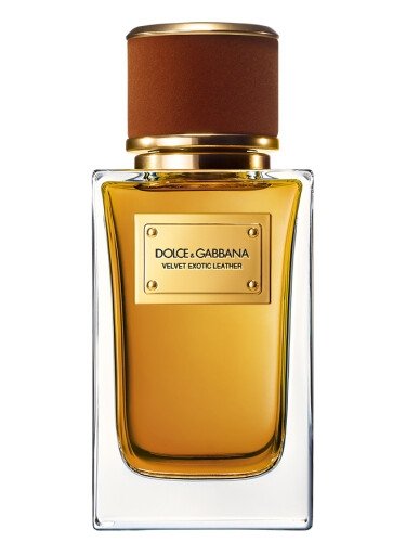 dolce & gabbana velvet exotic leather