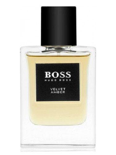 hugo boss boss collection - velvet amber