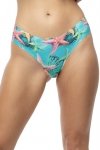Julimex Figi Brasil Sea stars