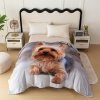 Koc Cotton World Touch Animal, Motor 160x200