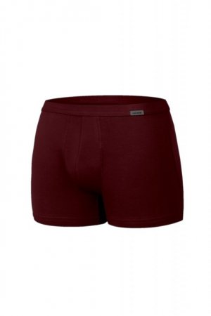 Cornette Bokserki Authentic mini 223 claret