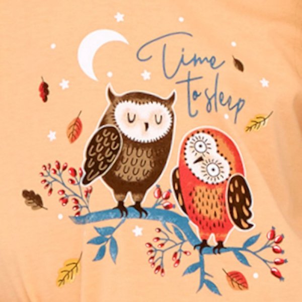 Cornette Piżama kids Owls2 977/176
