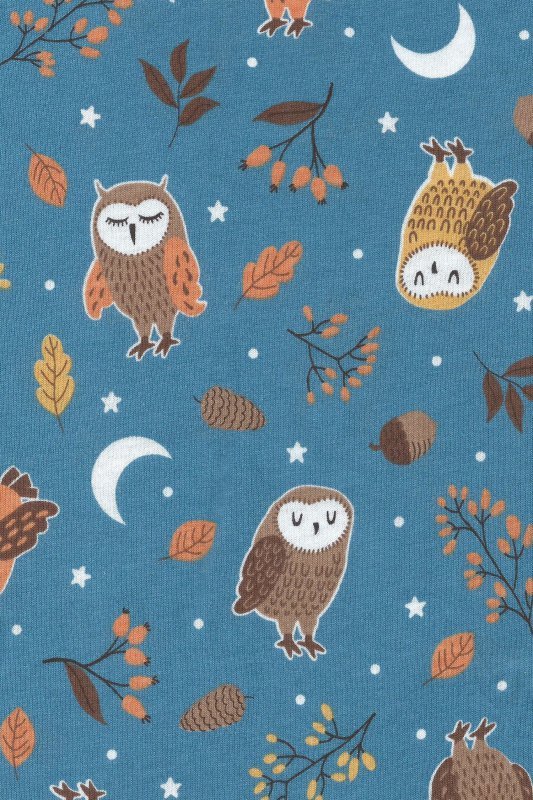 Cornette Piżama young Owls2 978/176