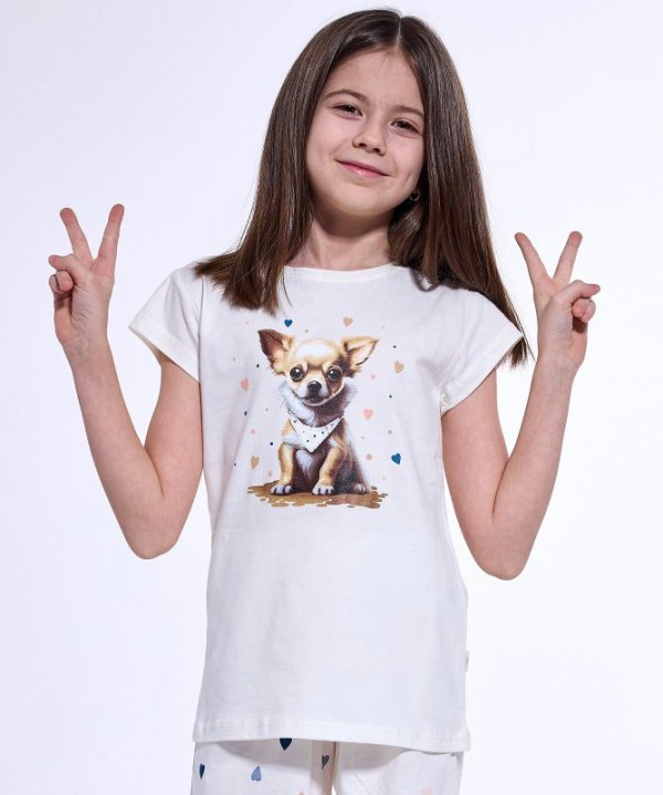 Piżama Cornette Young Girl 788/108 Chihuahua kr/r 134-164