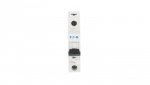 Wyłącznik nadprądowy 1P D 40A 6kA AC PL6-D40/1 286549