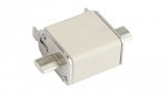 Wkładka bezpiecznikowa NH00 100A gF 500V 004114339