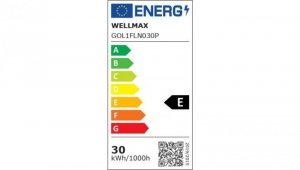 Naświetlacz LED 30W 95lm/W 2850lm IP54 Neutralna 4000K z czujnikiem ruchu SAMSUNG GOL1FLN030P