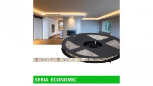 Taśma Economic IP63 12V 60led WW 2800-3200K SMD5050 (5)