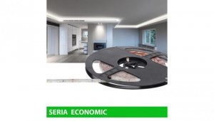 Taśma Economic IP63 12V 60led W 6000-7000K SMD2835 (25)