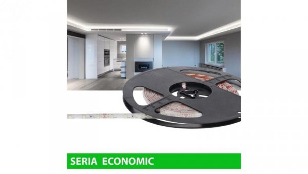 Taśma Economic IP63 12V 60led W 6000-7000K SMD2835 (25)