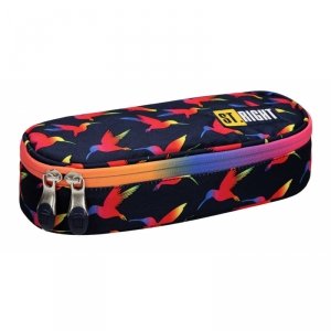 PIÓRNIK SASZETKA USZTYWNIONA Z WEWNĘTRZNĄ KLAPKĄ STRIGHT PC-01 RAINBOW BIRDS 2519 