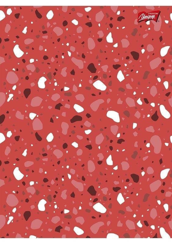 Brulion oprawa twarda A4 96k krata 2426