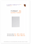 plakat A3, druk pełnokolorowy jednostronny 4+0, na papierze kredowym mat, 350 g - 200 sztuk 