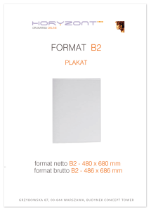 plakat B2, druk UV 4+0, na papierze satynowym 200 g - 1 sztuk