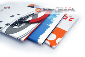 Teczka Standard+ DG10, 539 x 389 mm, grzbiet 10 mm bez folii, - 50 sztuk