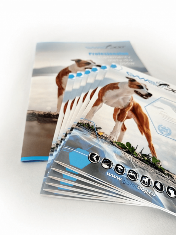 katalog A4, druk pełnokolorowy obustronny 4+4, na papierze kredowym, kreda 170 g, 8 str., 10 sztuk