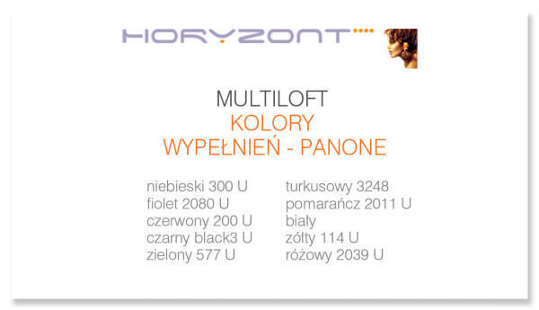 wizytówki bez folii, druk dwustronny, ekspres 1 dzień, papier kredowy 350 g mat,  50 sztuk 