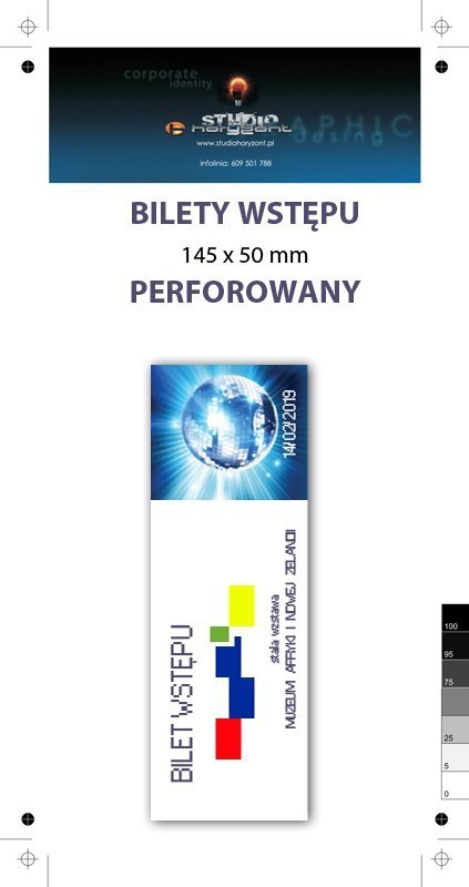 bilety wstępu z perforacją 145 x 50 mm, kreda błysk 130 g, druk pełnokolorowy jednostronny - 100 sztuk
