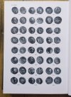 Janina Wiercińska Coins of the Roman Republic. Catalogue of Ancient Coins in the National Museum in Warsaw