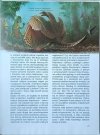 Joachim Oppermann • Dinozaury [Co i Jak tom 31] - fragment