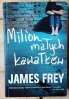 James Frey • Milion małych kawałków - okładka