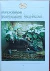 Siegfried Schmitz  Zwierzęta w terrarium - fragment