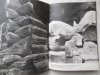 Jan Władysław Rączka • Architektura drewniana - ilustracja