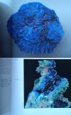 Skarby Akademii Górniczo-Hutniczej. Minerały, skamieniałości, skały