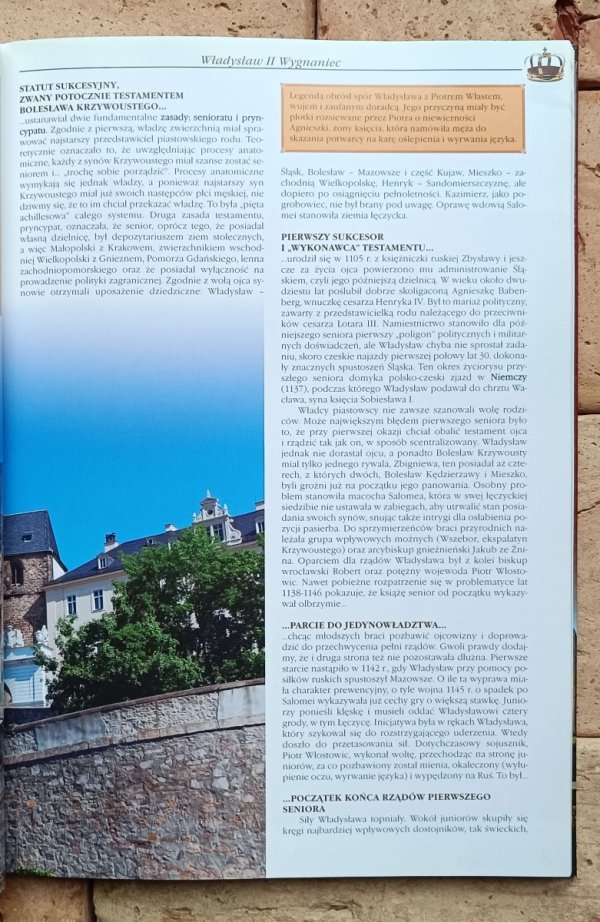 Dariusz Wizor - Poczet Królów i Książąt Polskich - grafika