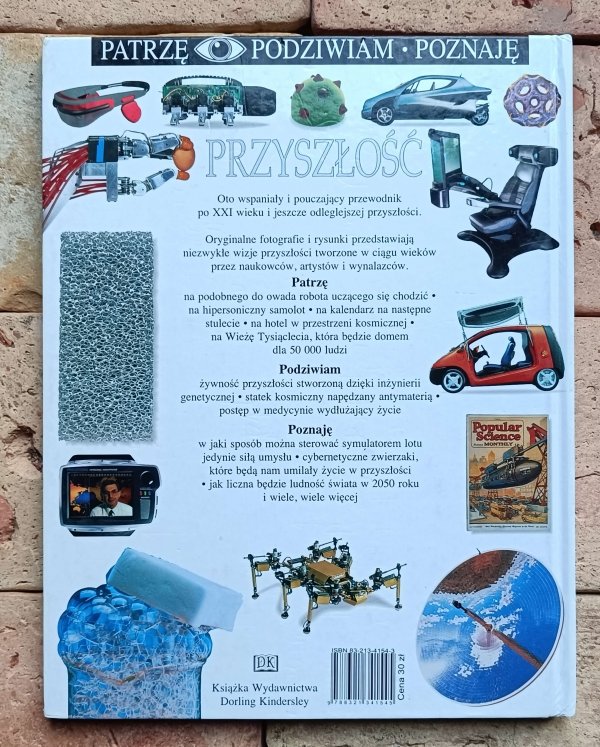 Michael Tambini - Przyszłość | Patrzę Podziwiam Poznaję