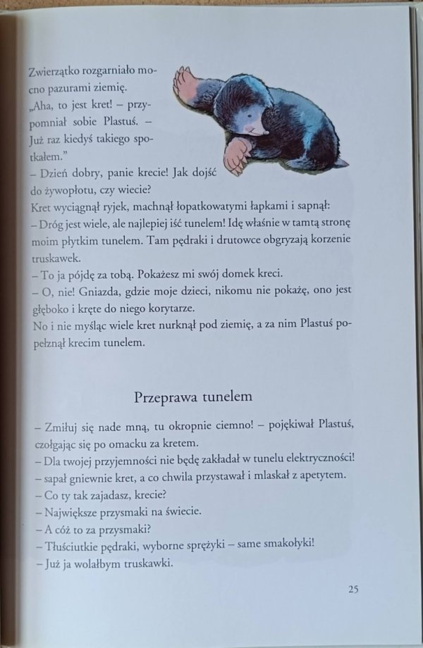 Maria Kownacka • Za żywopłotem - fragment