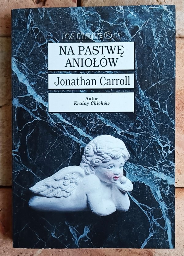 Jonathan Carroll x5 • Ucząc psa czytać - Kąpiąc lwa - Szklana zupa i inne