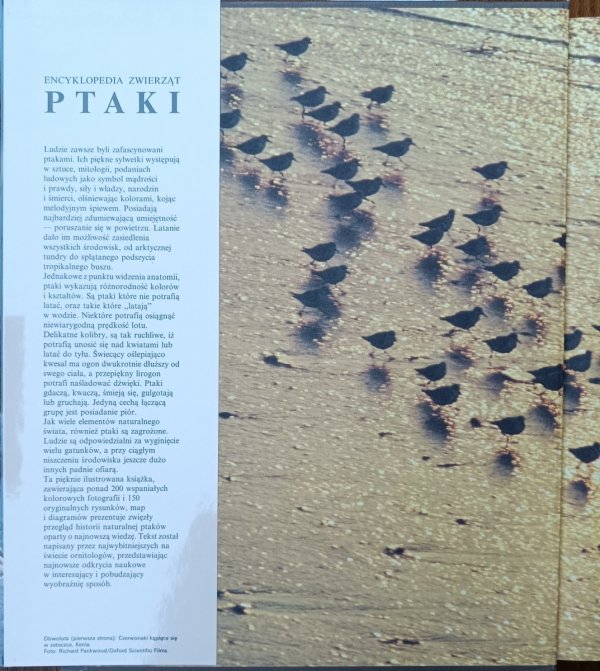 Encyklopedia zwierząt • Ptaki