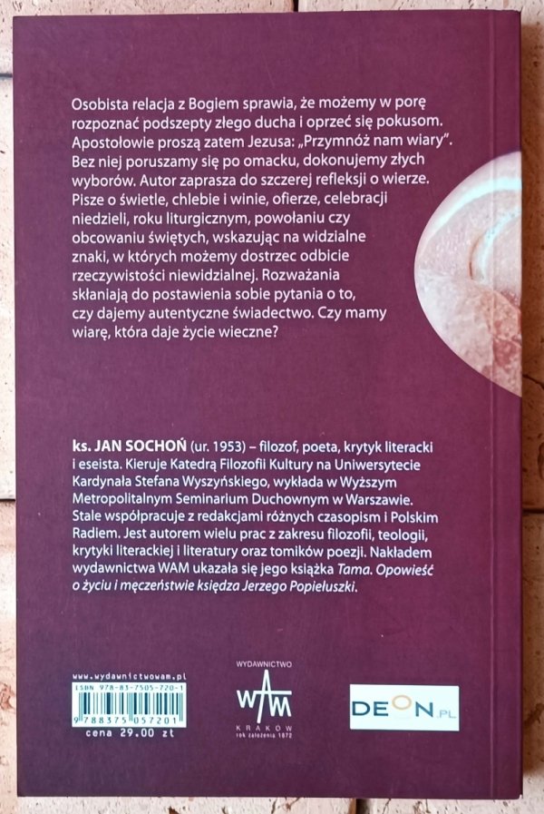 Jan Sochoń Widzimy tylko znaki. O wierze chrześcijańskiej - okładka