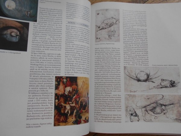 Hieronim Bosch • Wielka kolecja słynnych malarzy