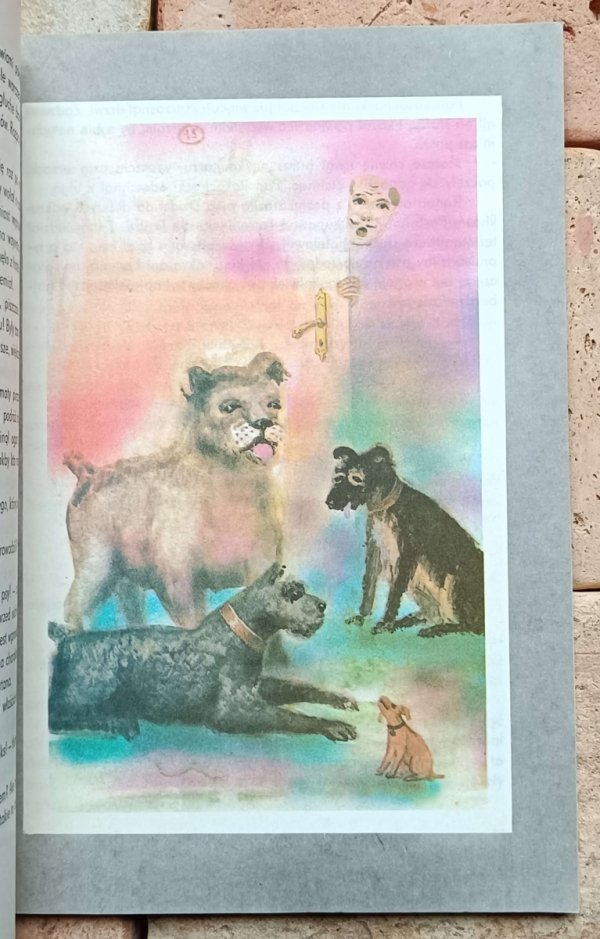 Jan Grabowski - Finek - ilustracja