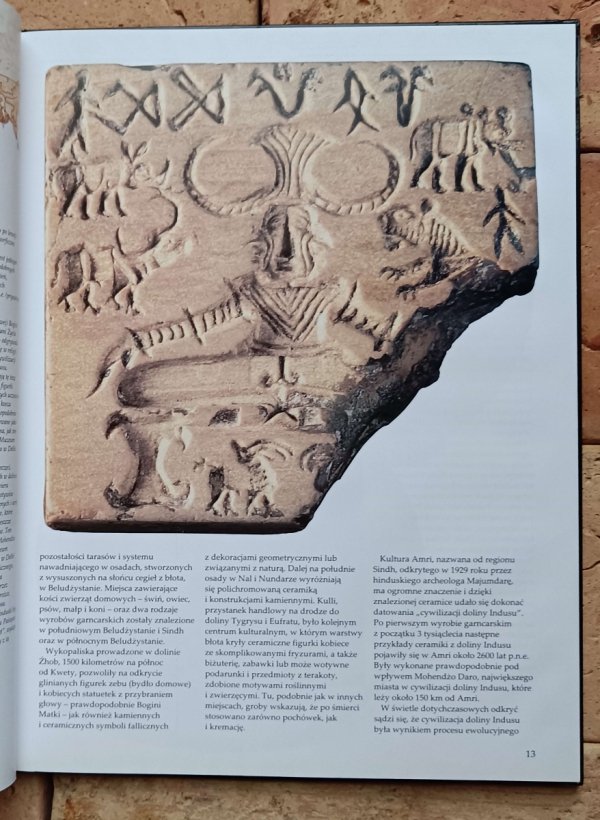 Marilia Albanese - Starożytne Indie. Historia kultury hinduskiej - fragment