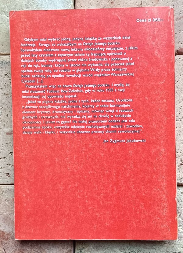 Andrzej Strug - Dzieje jednego pocisku