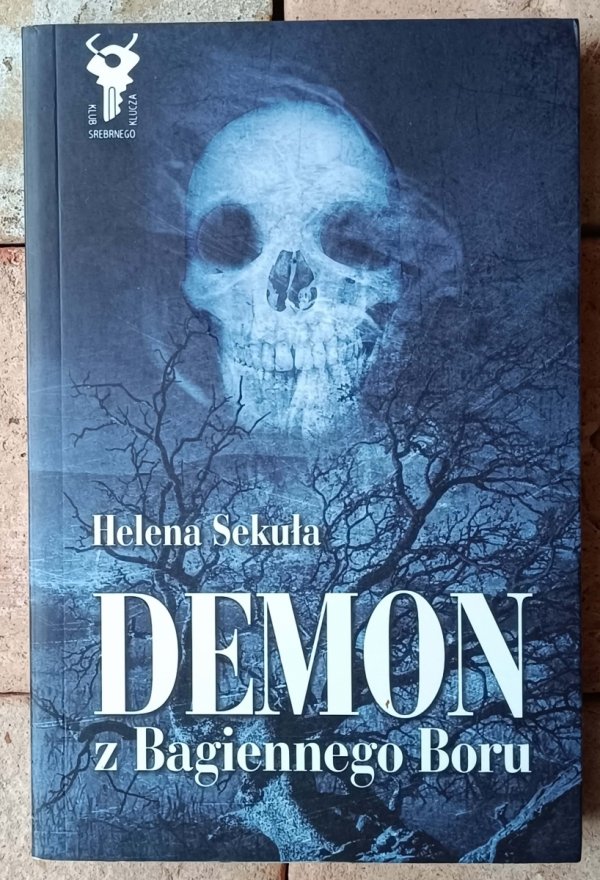Helena Sekuła Demon z Bagiennego Boru  - okładka