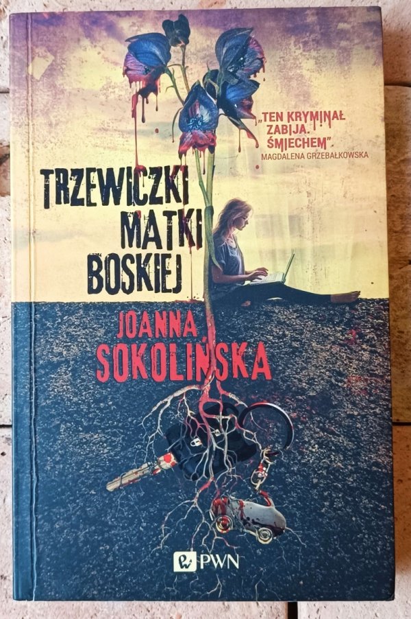 Joanna Sokolińska • Trzewiczki Matki Boskiej - okładka