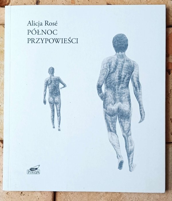 Poezja współczesna – 10 tomików • Zechenter, Rose, Siwiec, Sośnicki, Mirahina i inni - okładka