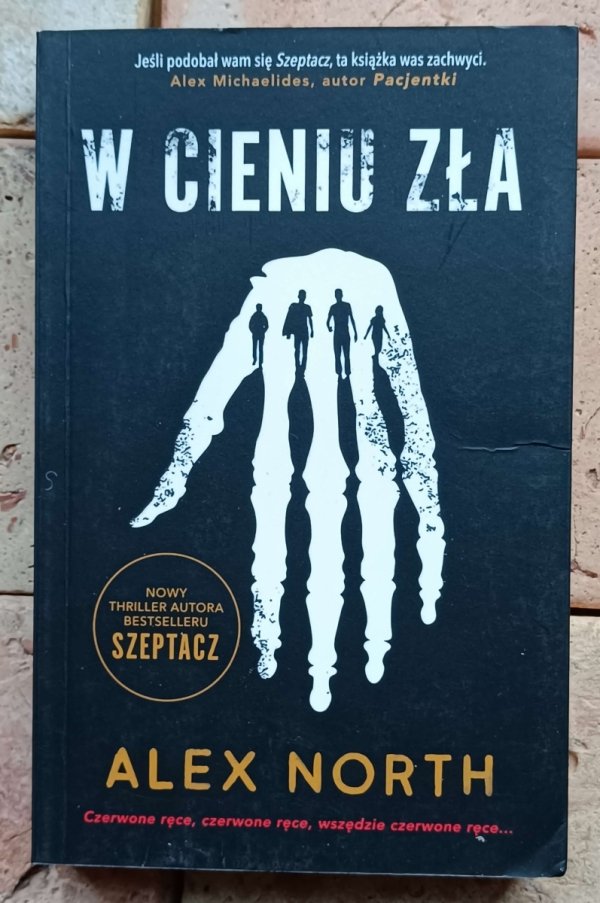 Alex North - W cieniu zła - okładka
