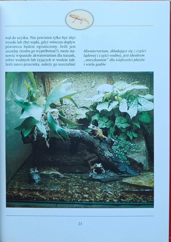 Siegfried Schmitz  Zwierzęta w terrarium - fragment