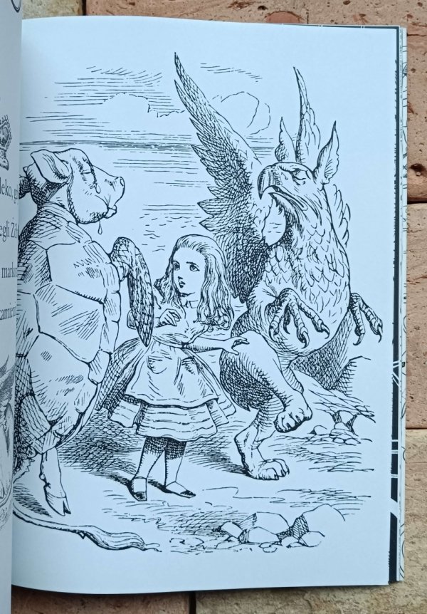 Alicja w Krainie Czarów - Księga kolorowanek