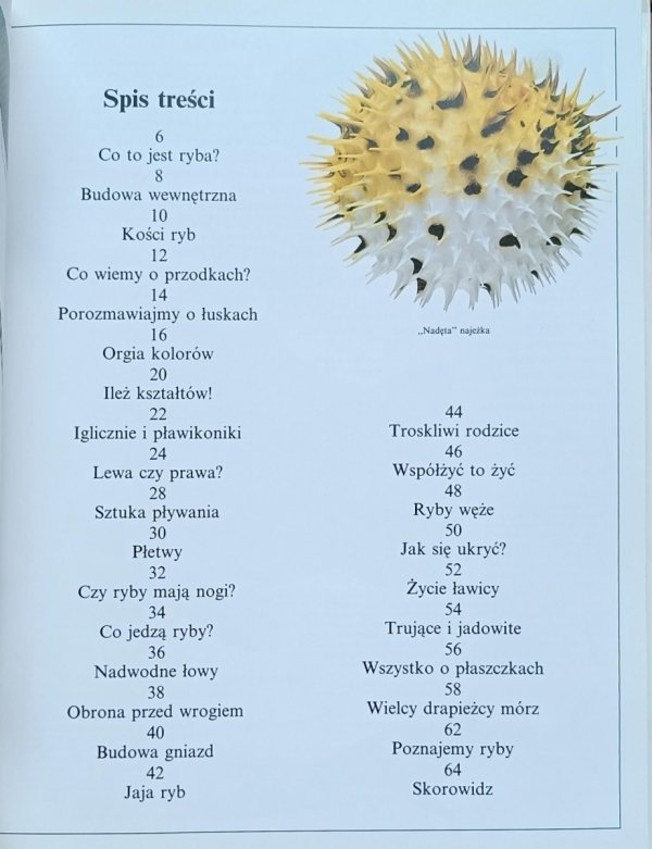 Steve Parker - Ryby | Patrzę Podziwiam Poznaję