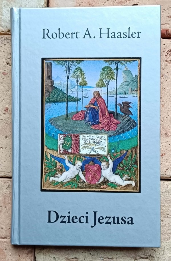 Robert Haasler - zestaw 8 ksiazek - okladka