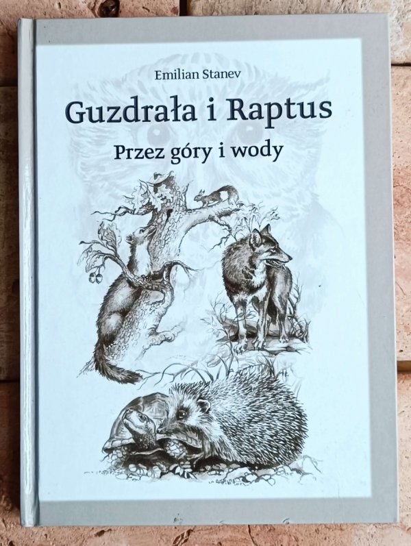 Emilian Stanew Guzdrała i Raptus. Przez góry i wody - okładka
